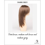 Load image into Gallery viewer, Ava By Envy in Dark Grey-Dark brown, medium ash brown and medium gray
