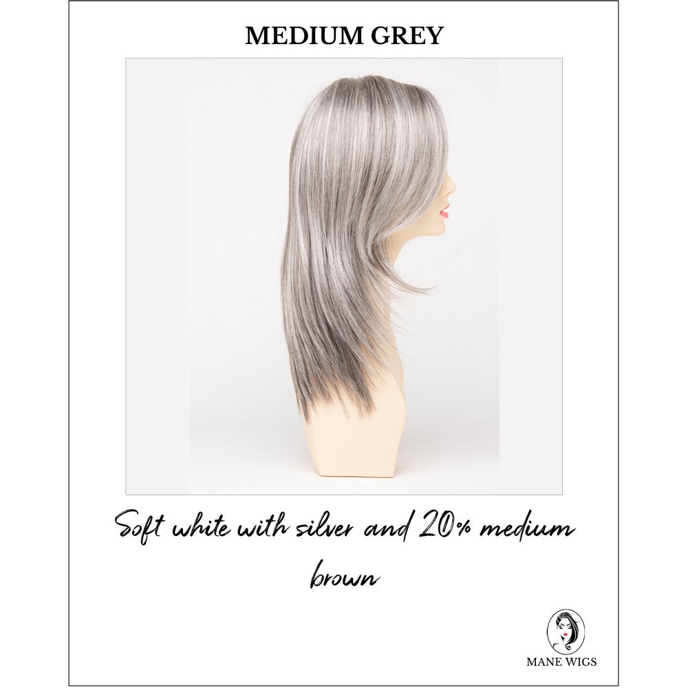 Ava By Envy in Medium Grey-Soft white with silver and 20% medium brown
