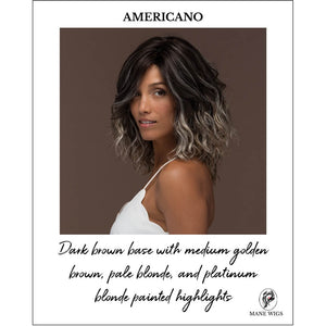AMERICANO-Dark brown base with medium golden brown, pale blonde, and platinum blonde painted highlights