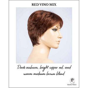 Barletta Hi Mono by Ellen Wille in Red Vino Mix-Dark auburn, bright copper red, and warm medium brown blend