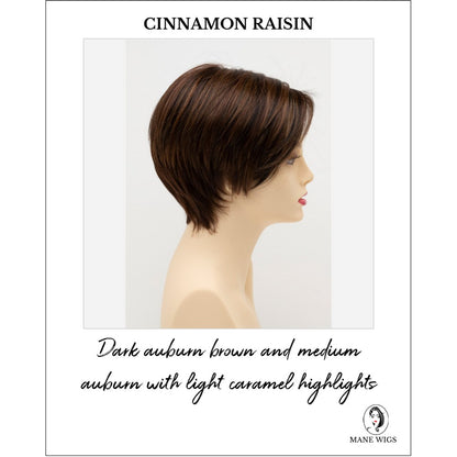 Billie wig by Envy in Cinnamon Raisin-Dark auburn brown and medium auburn with light caramel highlights