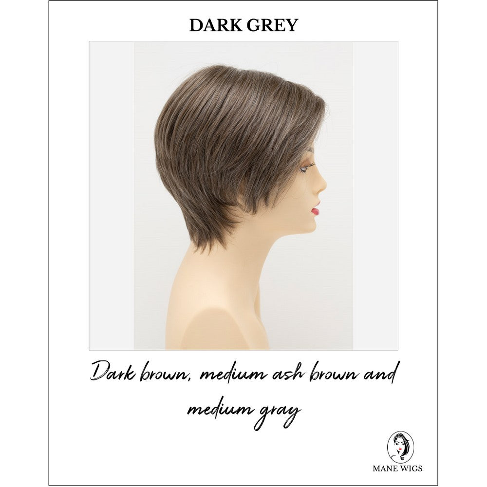 Billie wig by Envy in Dark Grey-Dark brown, medium ash brown and medium gray