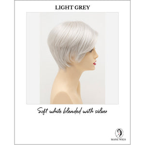Billie wig by Envy in Light Grey-Soft white blended with silver