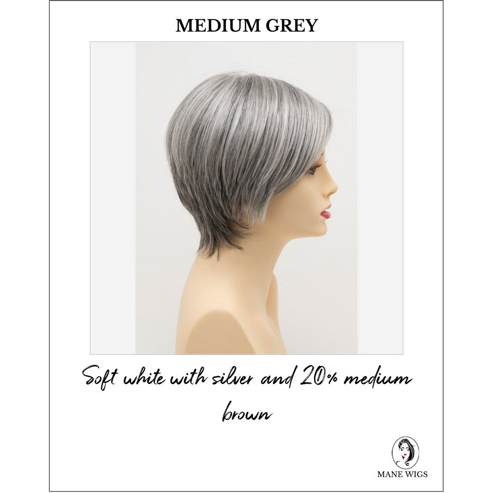 Billie wig by Envy in Medium Grey-Soft white with silver and 20% medium brown