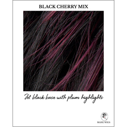 Black Cherry Mix-Jet black base with plum highlights