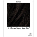 Load image into Gallery viewer, Black-Jet black and darkest brown blend
