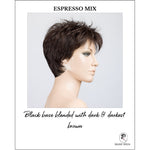 Load image into Gallery viewer, Bliss by Ellen Wille in Espresso Mix-Black base blended with dark &amp; darkest brown
