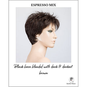Bliss by Ellen Wille in Espresso Mix-Black base blended with dark & darkest brown