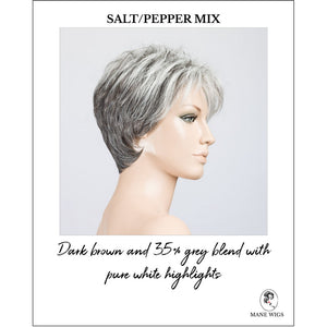 Bliss by Ellen Wille in Salt/Pepper Mix-Dark brown and 35% grey blend with pure white highlights