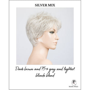 Bliss by Ellen Wille in Silver Mix-Dark brown and 75% grey and lightest blonde blend