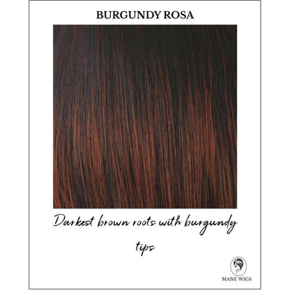 Burgundy Rosa-Darkest brown roots with burgundy tips