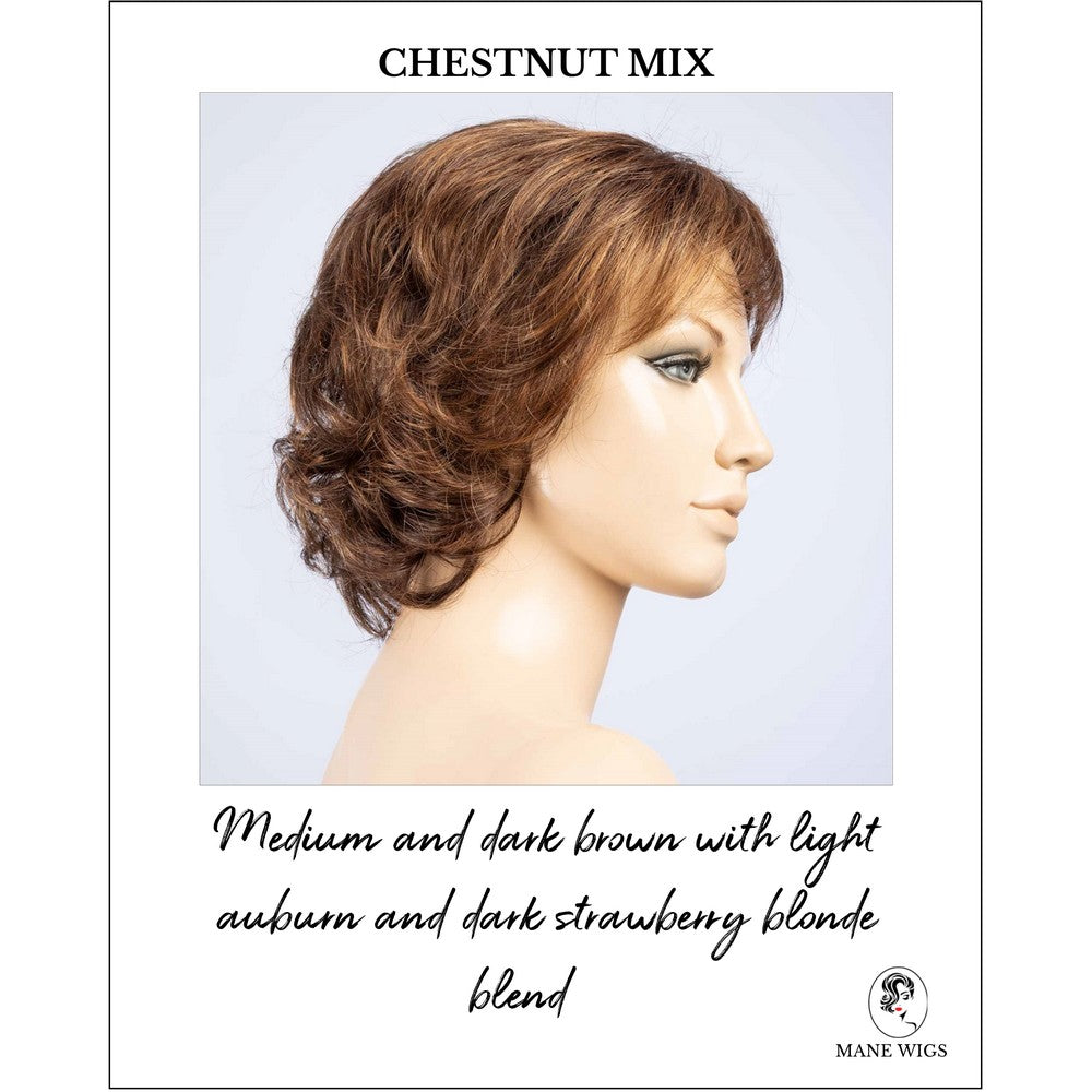 Cesana by Ellen Wille in Chestnut Mix-Medium and dark brown with light auburn and dark strawberry blonde blend