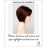 Load image into Gallery viewer, Chocolate Cherry-R-Medium dark brown with auburn and copper highlights and dark brown roots
