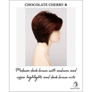 Chocolate Cherry-R-Medium dark brown with auburn and copper highlights and dark brown roots
