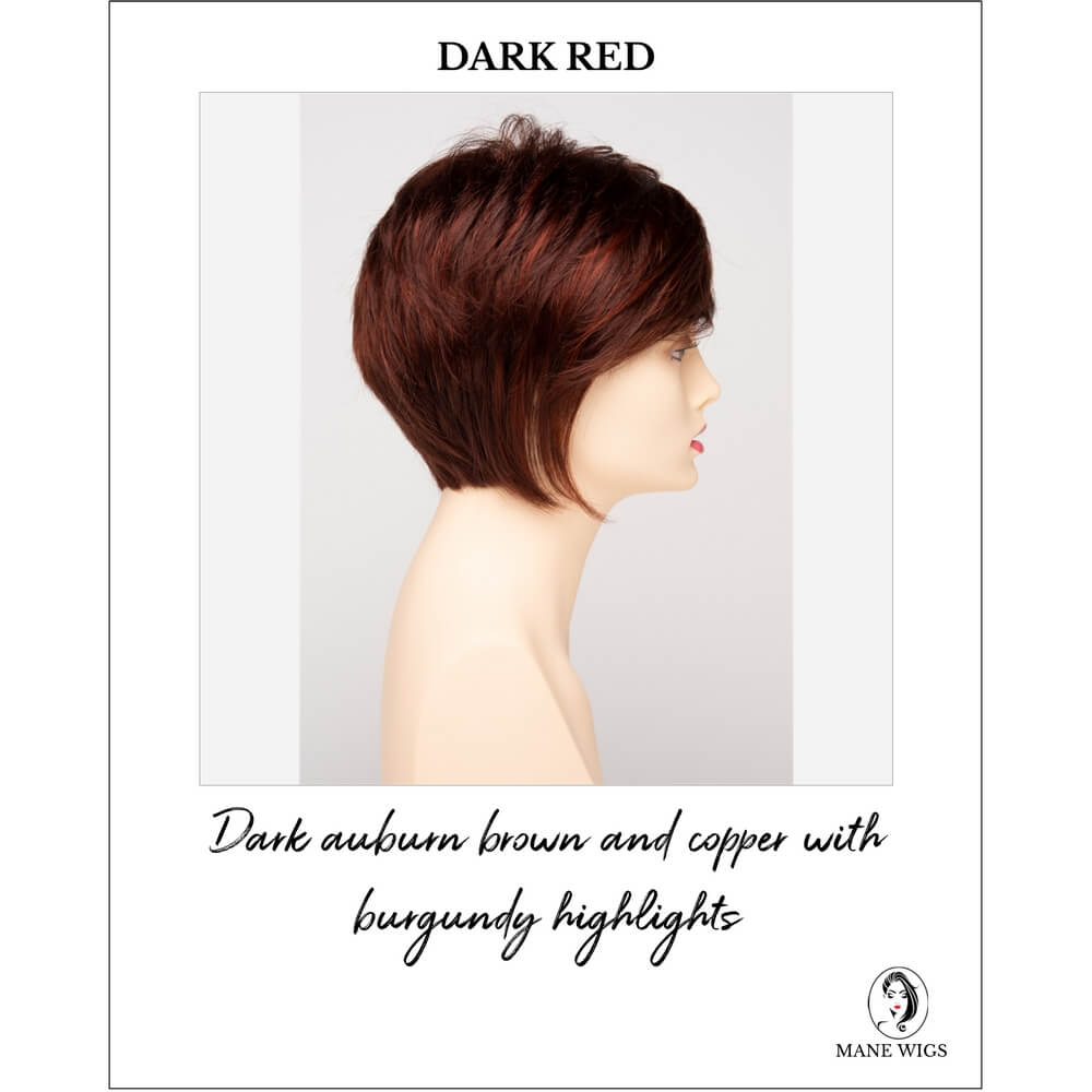 Dark Red-Dark auburn brown and copper with burgundy highlights
