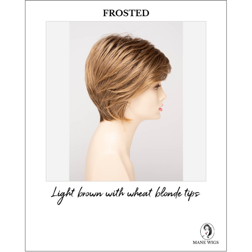 Frosted-Light brown with wheat blonde tips