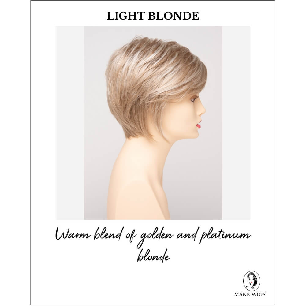 Light Blonde-Warm blend of golden and platinum blonde