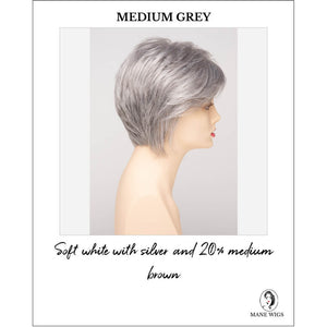 Medium Grey-Soft white with silver and 20% medium brown