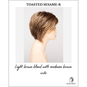 Toasted Sesame-R-Light brown blend with medium brown root