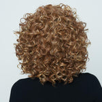 Load image into Gallery viewer, Click, Click, Flash Wig by Raquel Welch in Golden Russet (RL29/25) Image 4
