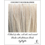 Load image into Gallery viewer, Coconut Silver Blonde-A blend of silver, cool ash, and coconut blondes with platinum blonde highlights
