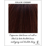 Load image into Gallery viewer, Cola with Cherry-Cappuccino dark brown root with a blend of dark chocolate brown, mahogany and chocolate cherry
