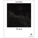 Load image into Gallery viewer, COLOR 01-Jet black
