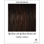 Load image into Gallery viewer, COLOR 01B/30-Off black with off black blended with medium auburn
