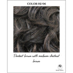 Load image into Gallery viewer, COLOR 02/06-Darkest brown with medium chestnut brown
