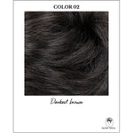 Load image into Gallery viewer, COLOR 02-Darkest brown
