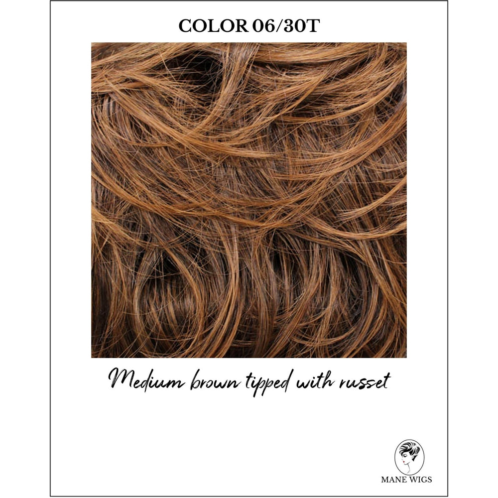 COLOR 06/30T-Medium brown tipped with russet