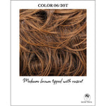 Load image into Gallery viewer, COLOR 06/30T-Medium brown tipped with russet
