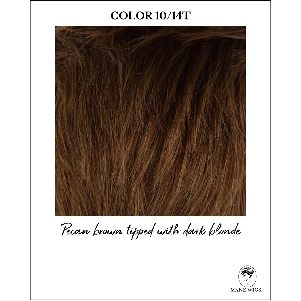 COLOR 10/14T-Pecan brown tipped with dark blonde