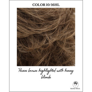 COLOR 10/16HL-Pecan brown highlighted with honey blonde