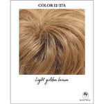 Load image into Gallery viewer, COLOR 12/27A-Light golden brown
