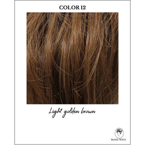 COLOR 12-Light golden brown