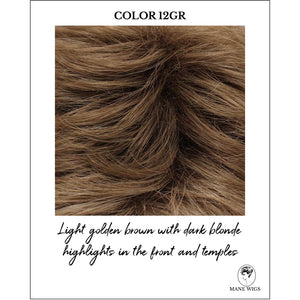 COLOR 12GR-Light golden brown with dark blonde highlights in the front and temples