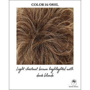 COLOR 14/08HL-Light chestnut brown highlighted with dark blonde