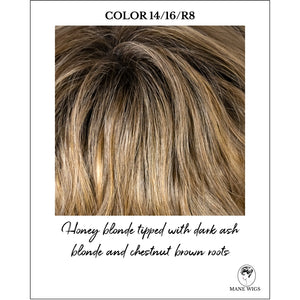 COLOR 14/16/R8-Honey blonde tipped with dark ash blonde and chestnut brown roots