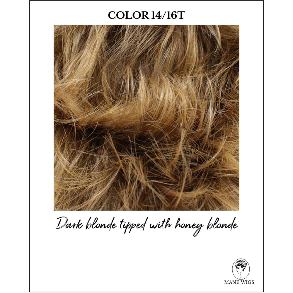 COLOR 14/16T-Dark blonde tipped with honey blonde