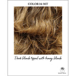 Load image into Gallery viewer, COLOR 14/16T-Dark blonde tipped with honey blonde
