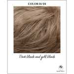 Load image into Gallery viewer, COLOR 14/24-Dark blonde and gold blonde
