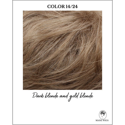 COLOR 14/24-Dark blonde and gold blonde