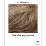 Load image into Gallery viewer, COLOR 14/24-Dark blonde and gold blonde
