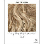 Load image into Gallery viewer, COLOR 14/88A-Honey blonde blended with neutral blonde
