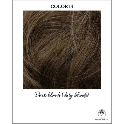 COLOR 14-Dark blonde (dirty blonde)