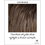 Load image into Gallery viewer, COLOR 14GR-Dark blonde with golden blonde highlights in the front and temples
