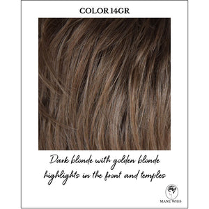 COLOR 14GR-Dark blonde with golden blonde highlights in the front and temples