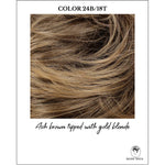Load image into Gallery viewer, COLOR 24B/18T-Ash brown tipped with gold blonde
