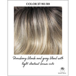 Load image into Gallery viewer, COLOR 27/80/R8-Strawberry blonde and gray blend with light chestnut brown roots
